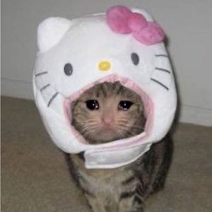 Meet your Posher, Allie